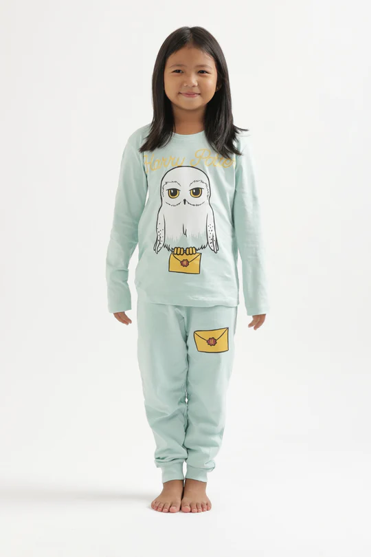HARRY POTTER HEDWIG PASTEL CO-ORD SET - Thumbnail
